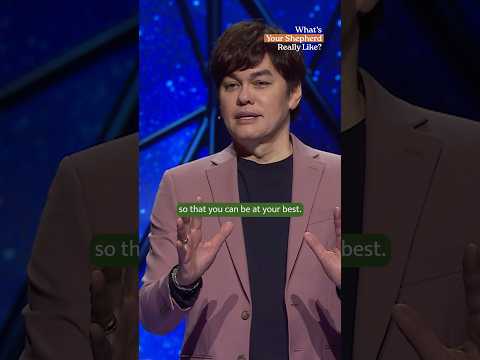 WHAT'S YOUR SHEPHERD REALLY LIKE? ????