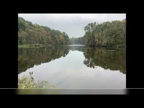 Coffee Break (5 Minutes with God) Psalm 72:7-11