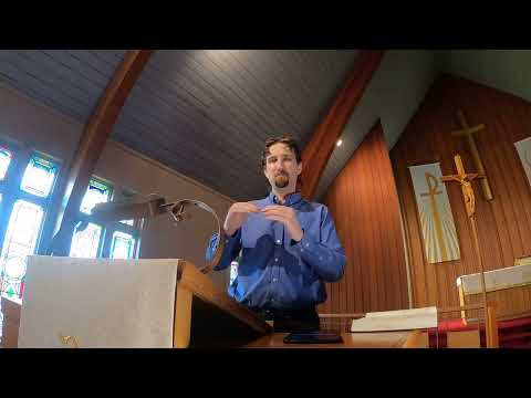 Job 38:39-39:4 God Caring within the Creation