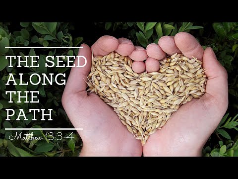 The Seed Along the Path | A Lesson from the Parable of the Sower | Matthew 13:3-4