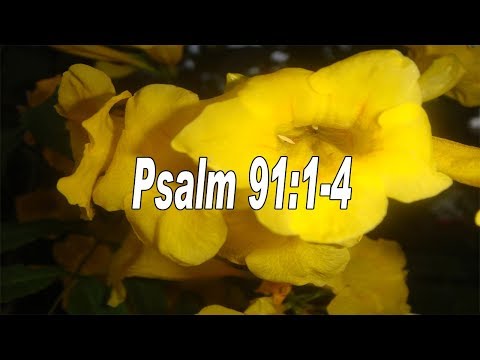 Scripture song Psalm 91:1-4 He is my refuge and my fortress