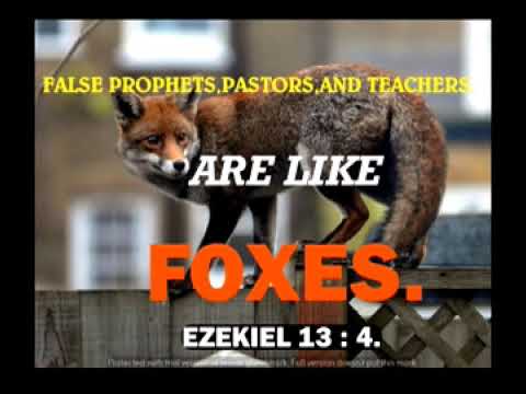 EZEKIEL 13 : 4 . FALSE PASTORS , AND TEACHERS ARE LIKE FOXES.