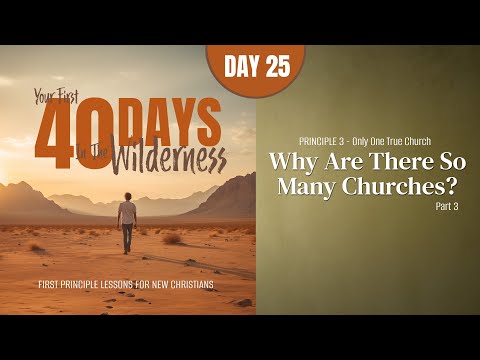 Day 25: Why Are There So Many Churches? (Part 3) | Your First Forty Days in the Wilderness