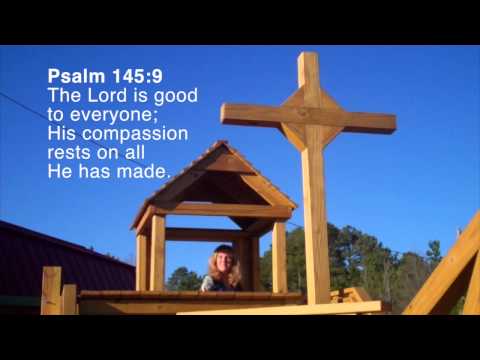 Psalm 145:9  HCSB The Lord is good