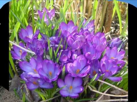 YAH is With You Through Each Trial! (Psalm 119: 74)