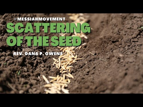 May 15, 2022 |The Scattering of the Seed | Acts 11:19-21 (NLT) | Rev. Dana P. Owens