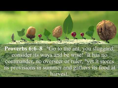 Proverbs 6:6-8 Song