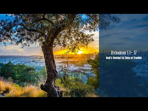 Zechariah 1:1-17 | God's Comfort in Time of Trouble | Steve Mullett