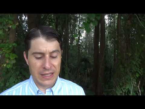 1 Samuel 8:4-20,11:14-15 Reading