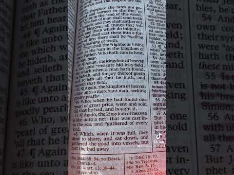 ???? What Is The Kingdom Of God Like Unto? ???? Let’s Read Matthew 13:47-49 In The Bible ????✨