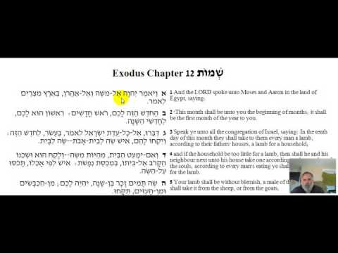 Exodus 12:1 In Hebrew