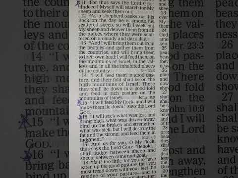 Start your day with "Good Morning Scripture!" ???? ☕️"Jehovah-Rohi" [ Ezekiel 34:11,15,16. Psalm 23:1]