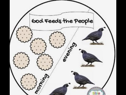 Exodus 16 :8-36 Quail & Manna Given Part 5