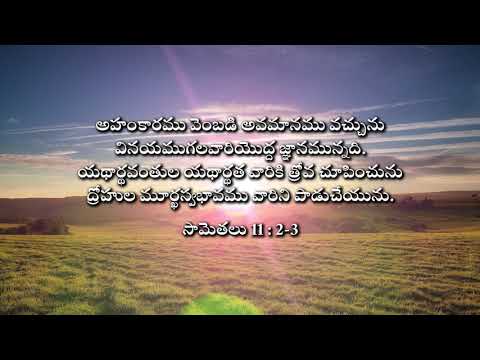 Pride vs Humility and Upright vs Unfaithful || Proverbs 11: 2-3