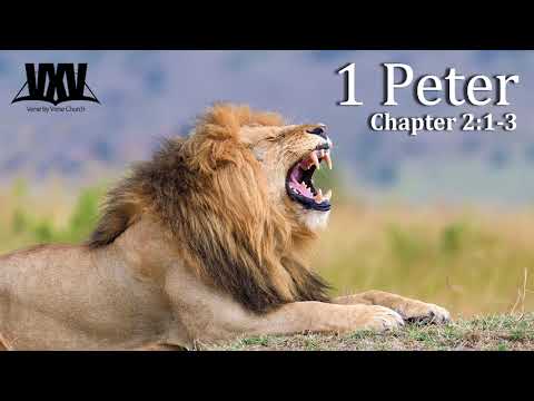 Verse by Verse - 1 Peter 2:1- 3