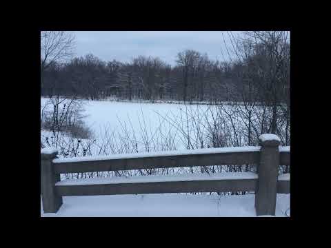 Scripture Verse By Verse (2023) Genesis 32:1-23