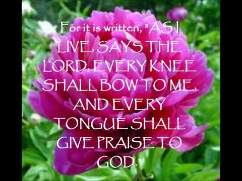 Daily Bread: Romans 14:11 (NASB)