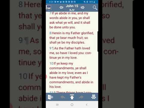 John 15:6: his word his Joy his love his friends and the world's hatred