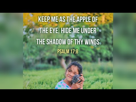 Apple of God’s eye - Psalm 17:8, 56:8 | Memory Verse Song (KJV)