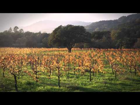 FLBC Daily Devotion 2 Chronicles 30:9