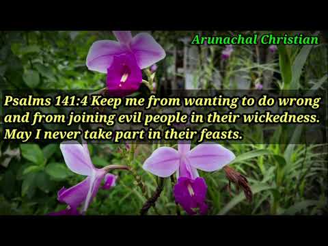 Morning Manna|| Psalms 141:4|| By Mihin Dollo|| #InApatani