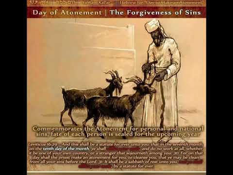 Day of Atonement: Precepts to Meditate On - Psalm 25:18 (Part 2)