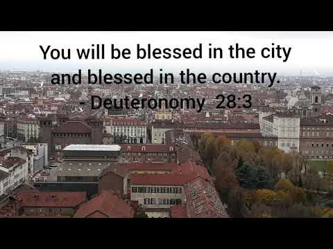One Minute Meditation - Deuteronomy 28:3