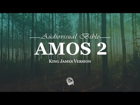 Amos 2:1-16 King James Version (KJV)