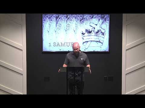 1 Samuel 30:1-31...David, King of Israel
