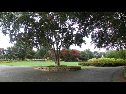 Pastor Mack A Harris - Daniel 6:20-22