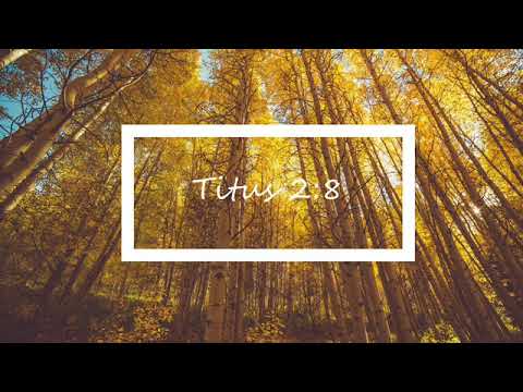 Titus 2:8