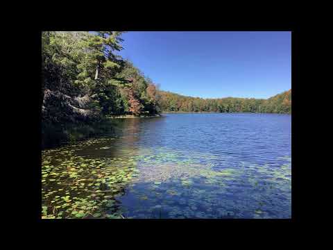 Coffee Break (5 minutes with God) James 1:16-18