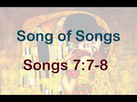 Song of Songs 7:7-8