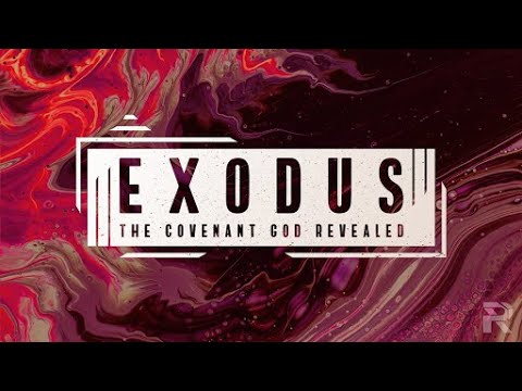 Daily Connect: Laws Around Restitution (Exodus 21:28-22:15) - June 3, 2021