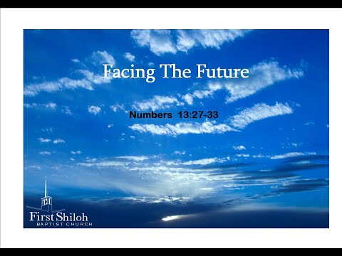 Facing The Future    Numbers  13:27-33    7-26-2020