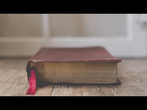 God's Word and God's People - Jeremiah 8:4-17