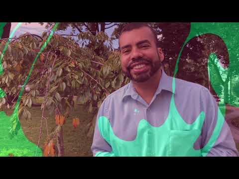 "When Life Gives You Manure." Genesis 37:3-8, 26-34; 50:15-21