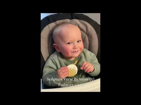 Scripture Verse By Verse (5) Psalm 13:1-14:1