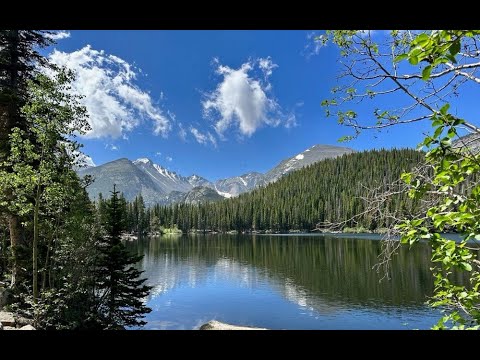 Scripture Verse By Verse (6) Gospel of Matthew 12:1-13