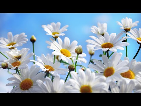 Coffee Break (5 Minutes with God) Proverbs 6:29-32