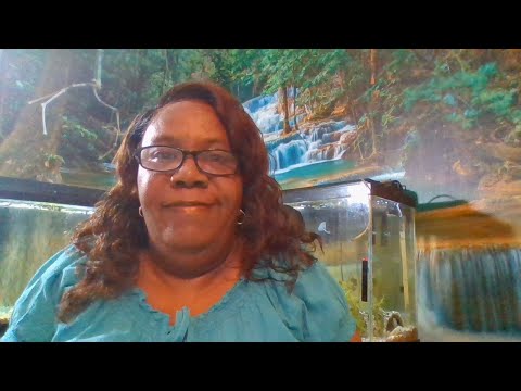 Thursday, Daily Bible Study. Psalms 72: 1-11. The Kings Eternal Rule. WIN 20200309 21 57 06 Pro