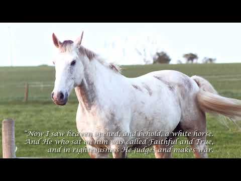 Psalm 20:7  Rev 19:11-16