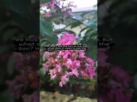 Psalm 91:8-9 Only with your eyes shall you look, And see the reward ...