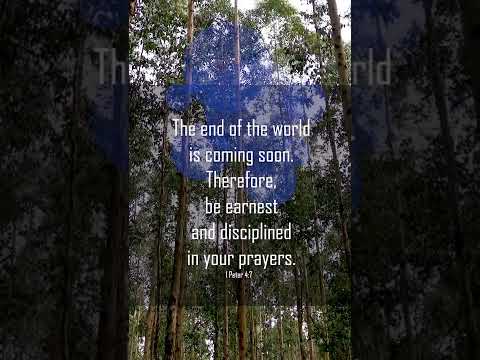 A reading of 1 Peter 4:7-8 from the New Living Translation