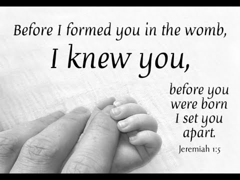 Does Psalm 58:3 &amp; Isaiah 48:8 Teach Inherited Sin?  What Does &quot;From The Womb&quot; Mean In Context?