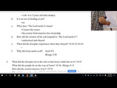 Boksoon Kim Bible Study Luke 19:28-44 The Triumphal Entry