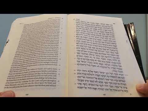 Daily Bible Reading - Exodus 11:9 - 13:1