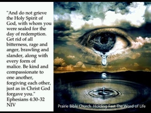 The New Christian Life (Ephesians 4:25-32) 5/22/16