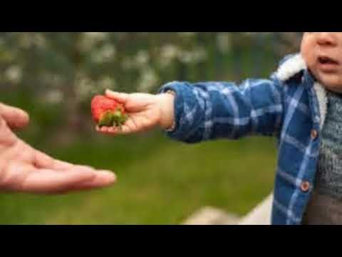 Leave A Little Behind ~ Our Daily Bread ~ Lev. 23:15-22