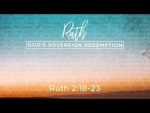 From Bitterness to Blessing (Ruth 2:18-23)